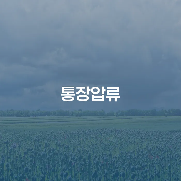 개인채무조회 개인회생으로 현명하게 진행하는