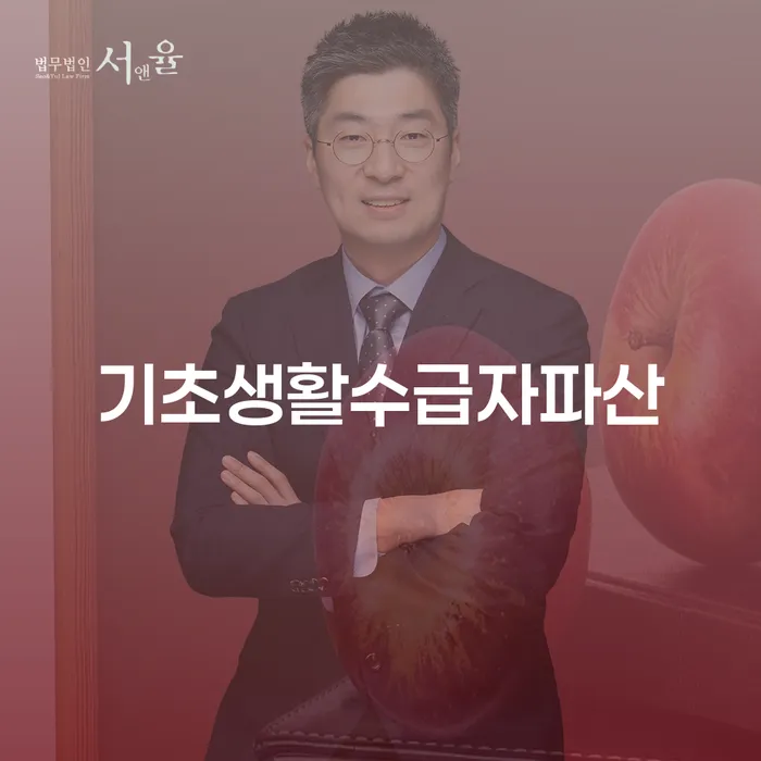 개인회생변호사 개인회생 제도 이렇게 진행을