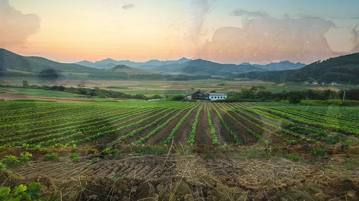 개인회생변호사추천