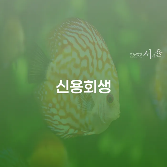 회생전문변호사 채무 효과적인 해결방법 경험 많은 곳에서