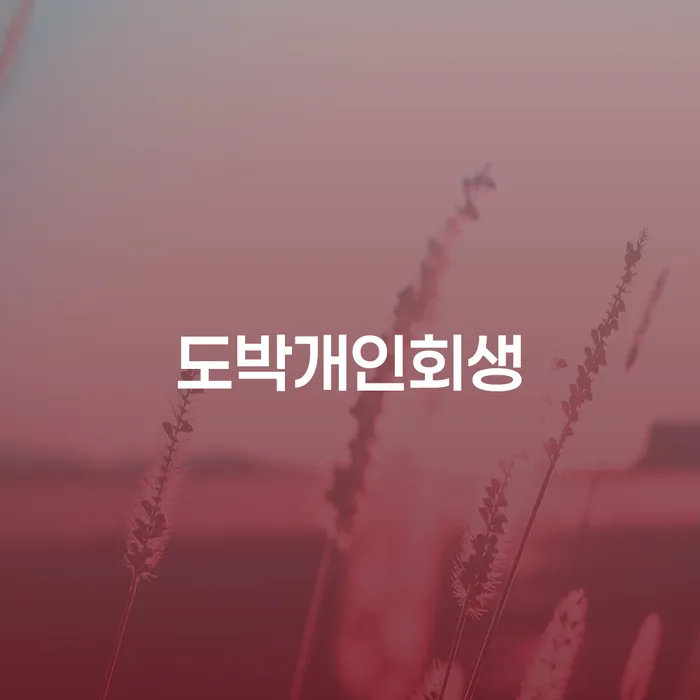 태안군 신용불량자사면 개인회생 급증하는