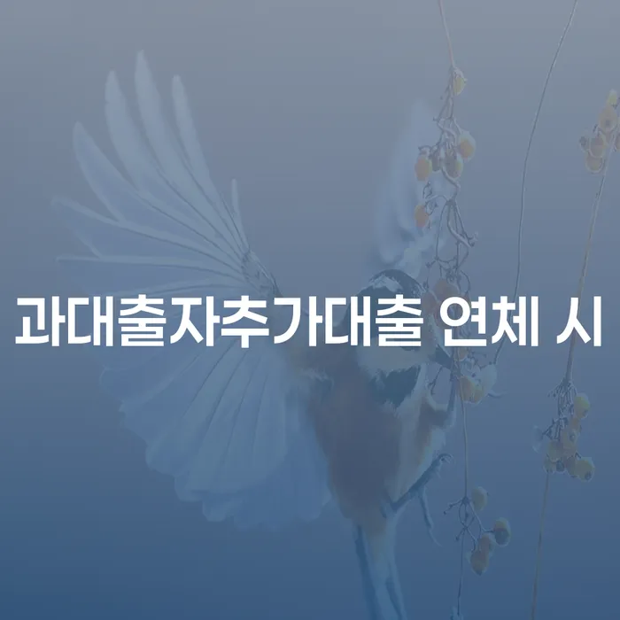 노원구 개인회생법무사비용 합리적이고 신용회복 관한건
