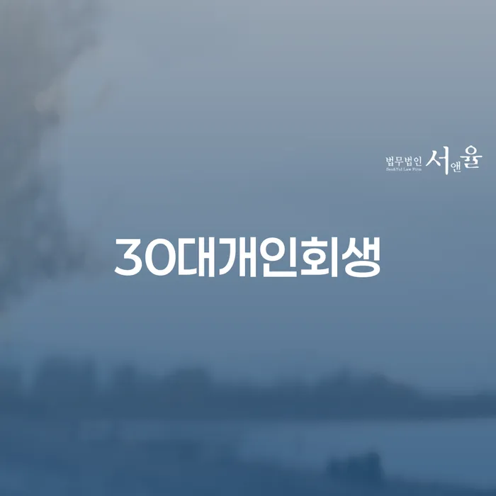 보령시 개인회생비용 개인회생 처리방법 잘 하는 법률사무소