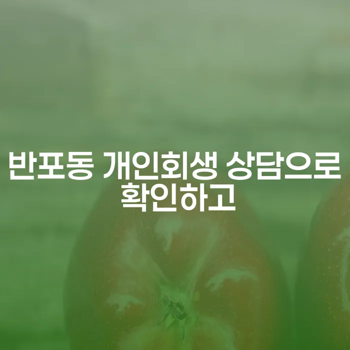 반포동 개인회생 상담으로 확인하고