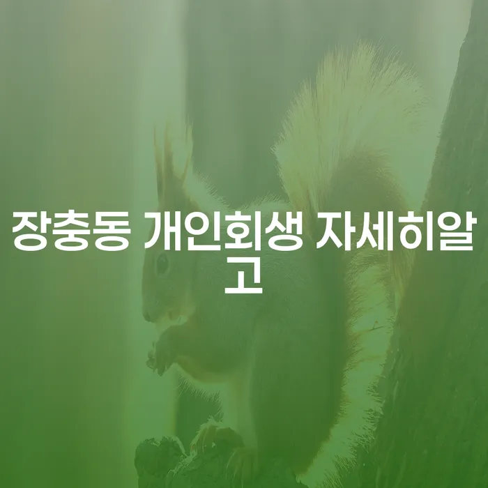 장충동 개인회생 자세히알고
