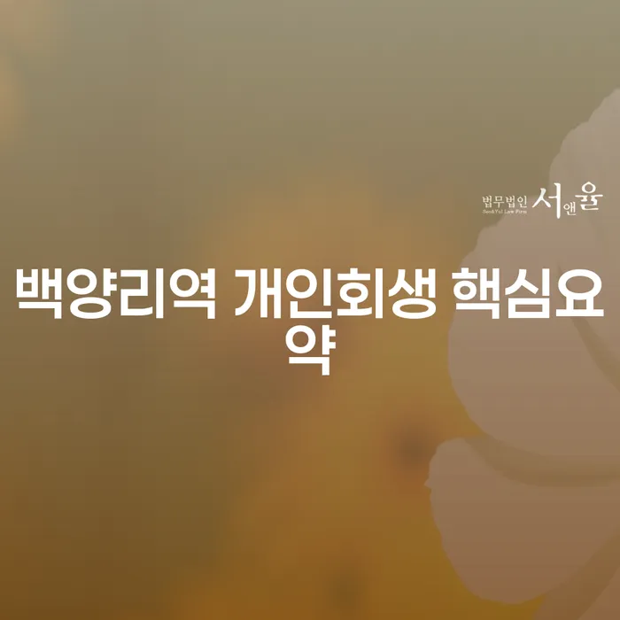 백양리역 개인회생 핵심요약