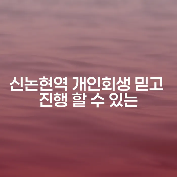 신논현역 개인회생 믿고 진행 할 수 있는