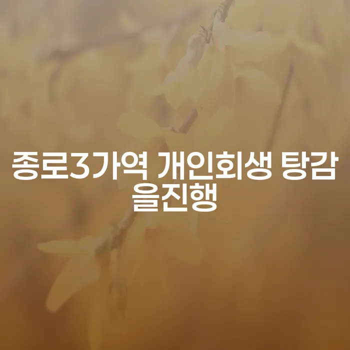 종로3가역 개인회생 탕감을진행