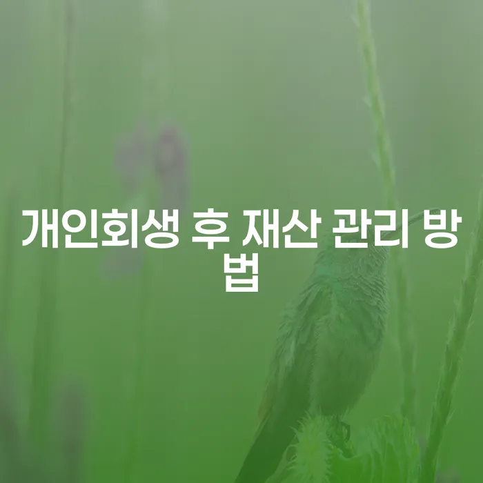 개인회생 후 재산 관리는 어떻게 해야 할까요?