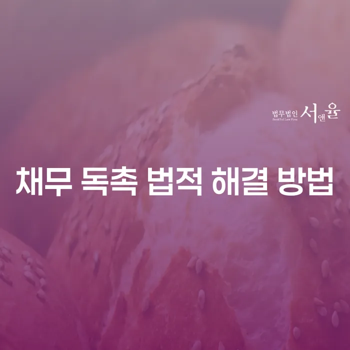 채무 독촉 전화, 법적으로 해결할 수 있는 방법이 있을까요?