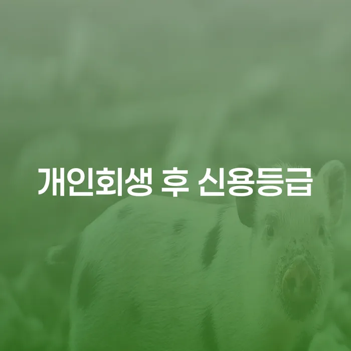 개인회생 후 신용등급, 어떻게 회복할 수 있을까요?