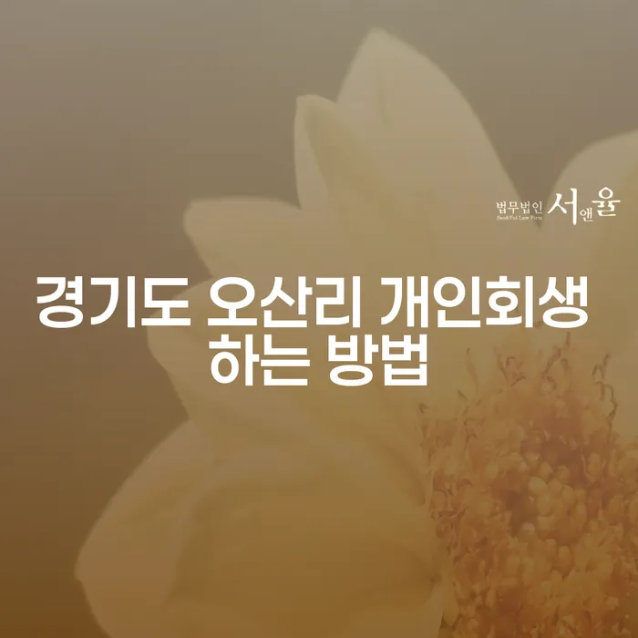 경기도 오산리에서 개인회생을 성공적으로 신청하는 방법은 무엇인가요?
