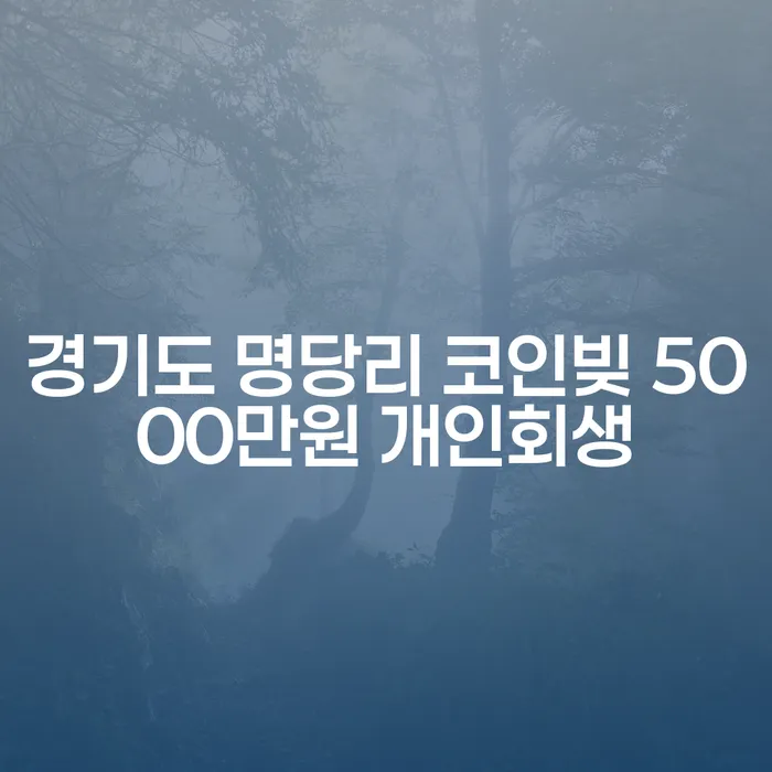 경기도 명당리에서 코인빚과 도박빚으로 고민하는 당신, 개인회생으로 해결할 수 있을까요?