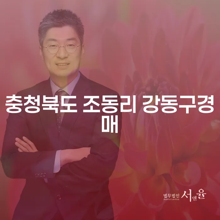 충청북도 조동리 강동구경매와 무료파산신청으로 채무 해결의 길을 찾을 수 있을까요?
