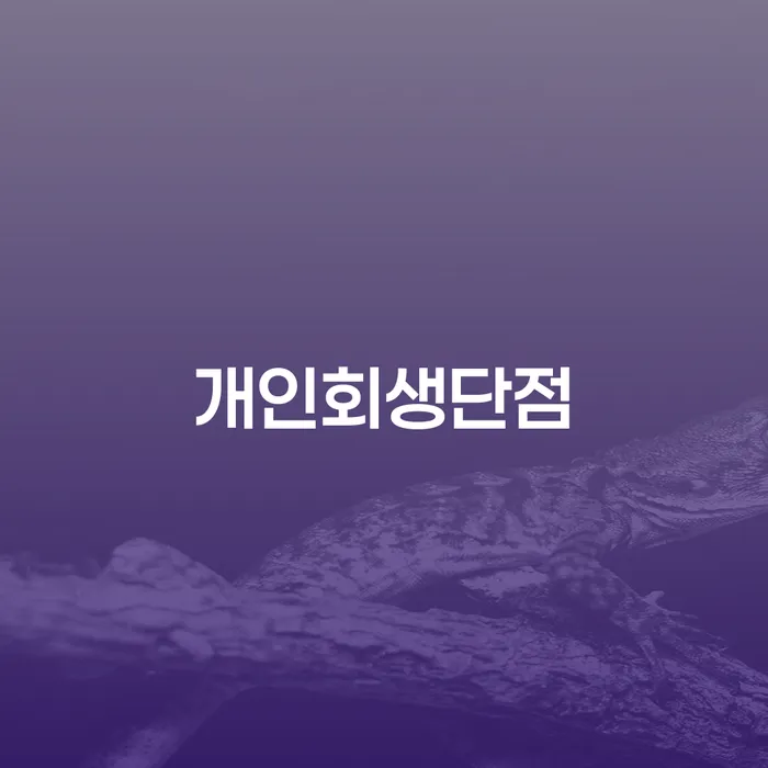 개인회생, 정말 나에게 맞는 선택일까?